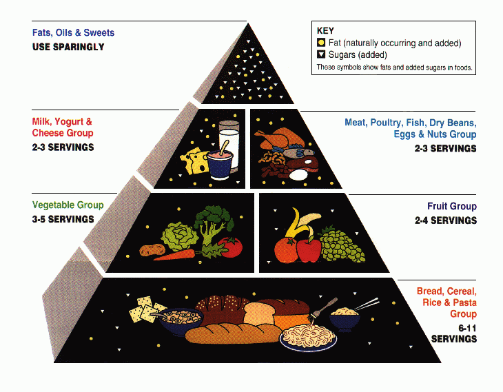 Remember this?  The USDA Food Pyramid created in 1992