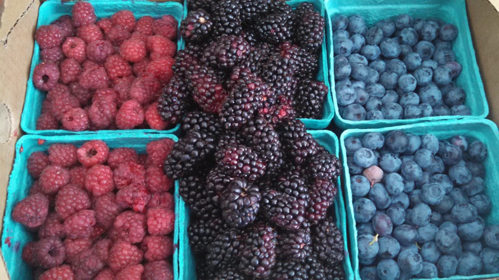 Our post race snack -Sauvie Island berries.