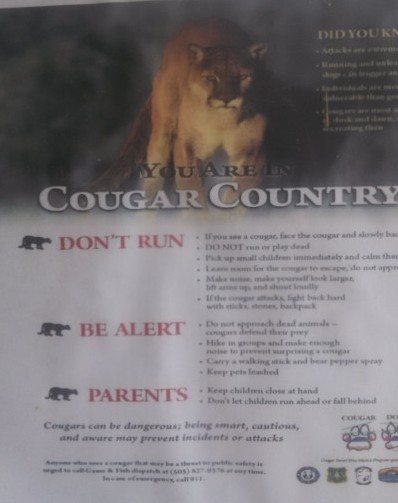 No running!  Unless you're a marathon of course.  We repel cougars.